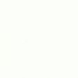 velluto white